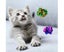 14 Pcs Crackle Lightweight Safe Interactive Fun for Play Toys and for Cat S Carousel 8