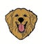Loading Image 1 of 1