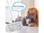 PTN NEW Steam Mop Pads for Bissell Sale Sale Carousel 19