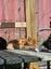 Cheezel - Wcc Rescue Kitten Carousel 3