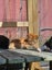 Cheezel - Wcc Rescue Kitten Carousel 4