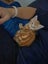 Cheezel - Wcc Rescue Kitten Carousel 1