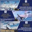 F4U Corsair RC Airplane Best Gift Carousel 4