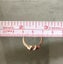 Vintage 14 Kt Yellow Gold Knot Style Ring 16 Baguette cut Rubies/ Diamond Ring Carousel 6