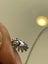 $1 reserve// 2000s sterling silver S925 stamped SunFlower necklace Carousel 4