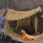 1pc Reptile Hacammock Hanging Swing Lizard Bearded Basking Platform Lounger D... Carousel 1