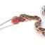 Stainless Steel Feeding Tongs, Reptile Feeding Tongs Long Handle Feeder Carousel 5