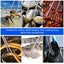 Stainless Steel Feeding Tongs, Reptile Feeding Tongs Long Handle Feeder Carousel 10