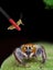 Stainless Steel Feeding Tongs Tweezers Reptile Pet Hamster Long Handle Feeder Carousel 8