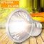 E27 Reptile Heating Light Turtle Lizard UVB + UVA Pet Heat Lamp Clip Holder Carousel 4