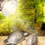 E27 Reptile Heating Light Turtle Lizard UVB + UVA Pet Heat Lamp Clip Holder Carousel 8