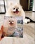 Custom Pet Portrait – Hand-Painted Oil or Digital Painted Style | 40x40cm Framed Carousel 4