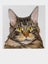 Custom Pet Portrait – Hand-Painted Oil or Digital Painted Style | 40x40cm Framed Carousel 3