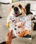 Custom Pet Portrait – Hand-Painted Oil or Digital Painted Style | 40x40cm Framed Carousel 6