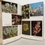 NEW ZEALAND LICHENS by William Martin and John Child 1972 1st edition Carousel 13