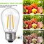 15Pack S14 2W LED Screw E27 Filament Dimmable Bulb Indoor Outdoor Carousel 7