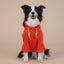Elosung Orange Cute Dog Hoodie With Drawstring Available In Various Sizes Carousel 1