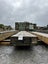 142MM X 47MM H4 ARRIS EDGED 4.8M TIMBER Carousel 1