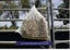 Hay Net - small 60mm Squares GutzBusta® Knotless Carousel 5