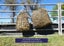 Hay Net - small 60mm Squares GutzBusta® Knotless Carousel 6