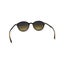 Raybans Sunglasses RB 4237 with Case Carousel 2