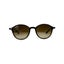 Raybans Sunglasses RB 4237 with Case Carousel 4