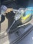 Loading Image 1 of 2