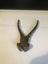 Pincer pliers Carousel 1