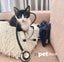 LONELY MIAOW KITTEN - PIXEL Carousel 1