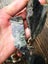 Pounamu greenstone bits and bobs offcuts and more 1.4 kgs $1 reserve Carousel 9