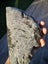 Pounamu greenstone carving block MAY DEALS $1 reserve Carousel 8