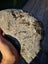 Pounamu greenstone carving block MAY DEALS $1 reserve Carousel 11