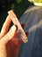 Carving slab NZ Rhodonite bright colours $1 reserve Carousel 6