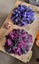 Rat Snuffle Mat - Choose your own colors Carousel 1