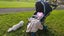 BabyCare Stroller with Cushion – Lightly Used, City-Ready & Versatile Carousel 2