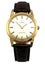 Omega 1960 18ct Yellow Gold Seamaster Auto Mens Wristwatch Ref OT14704 Serviced Carousel 2