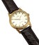Omega 1960 18ct Yellow Gold Seamaster Auto Mens Wristwatch Ref OT14704 Serviced Carousel 7