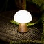 Lexon Mina Mini Led Lamp - Gold Carousel 5