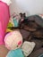 Jess (Rowdy's Message) 5 yr old retired greyhound **NEW PLYMOUTH based** Carousel 4