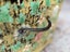 A Rare Antique Bhutanese Hand Painted Scripture Box Carousel 7