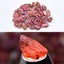 96.51ct 43pcs Lot Rough Purple Red Ruby - Unheated, Tanzania Gems Carousel 1
