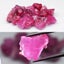 87.58ct 17pcs Lot Rough Pinkish Red Ruby - Heated, Tanzania Gems Carousel 1