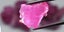 87.58ct 17pcs Lot Rough Pinkish Red Ruby - Heated, Tanzania Gems Carousel 3