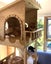 Brave Paws Cat Rescue - Cats - Buddy & Chesterr Carousel 11
