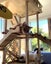 Brave Paws Cat Rescue - Cats - Buddy & Chesterr Carousel 17