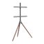 Brateck Artistic Easel Studio 45-65" TV Floor Stand Carousel 1