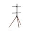 Brateck Artistic Easel Studio 45-65" TV Floor Stand Carousel 3