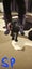 Loading Image 1 of 4