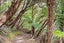 gallery view thumbnail