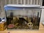 Fish tanks Carousel 5